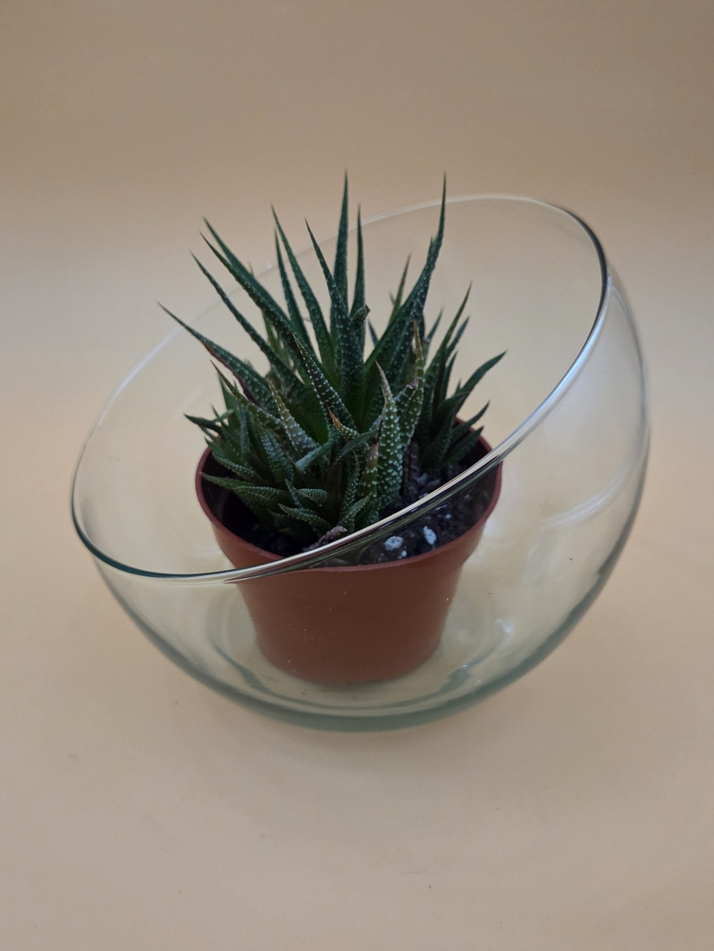 Clear Glass Slant Cut Bubble Angled Pod Vase